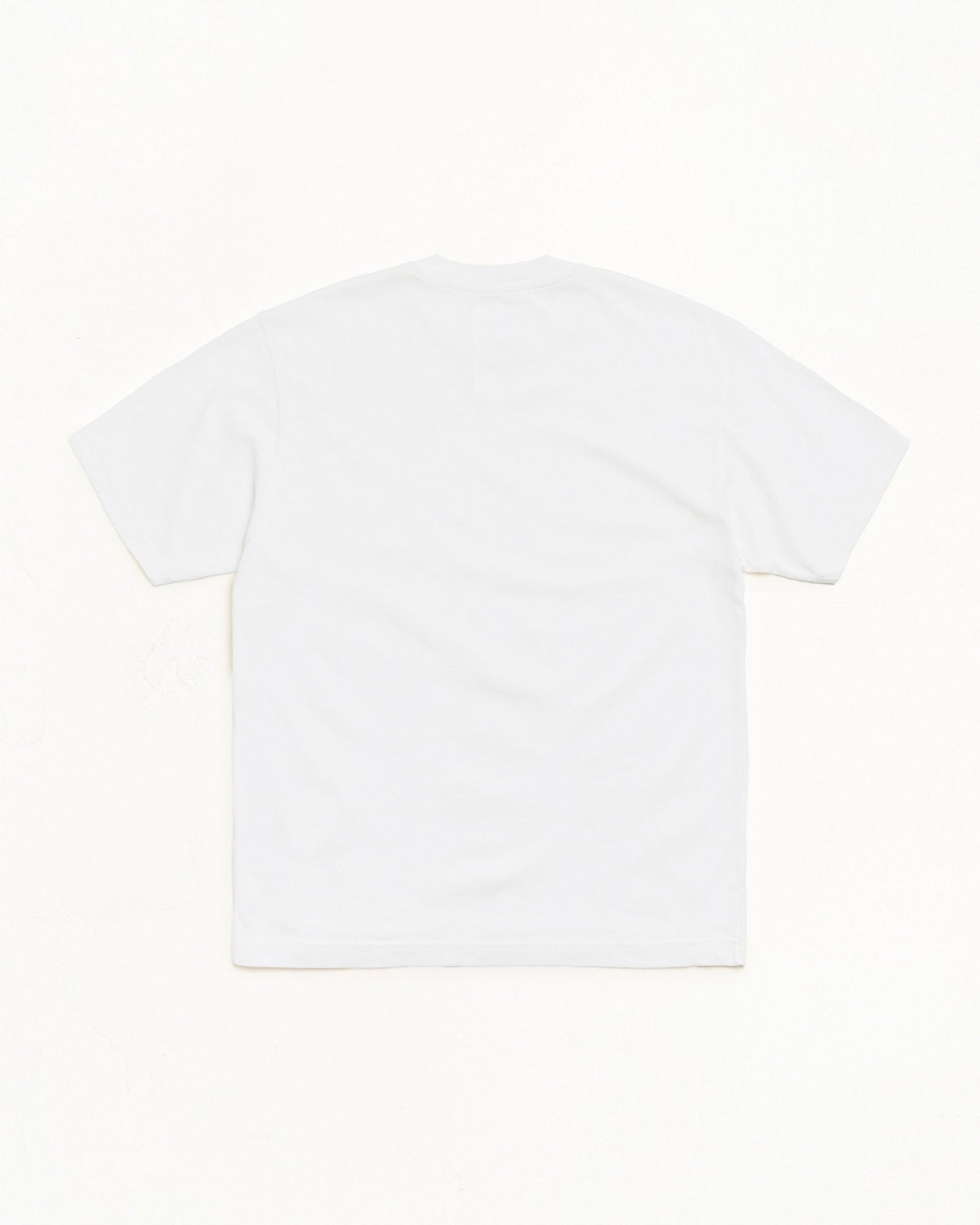 GARMENT DYED SS TEE