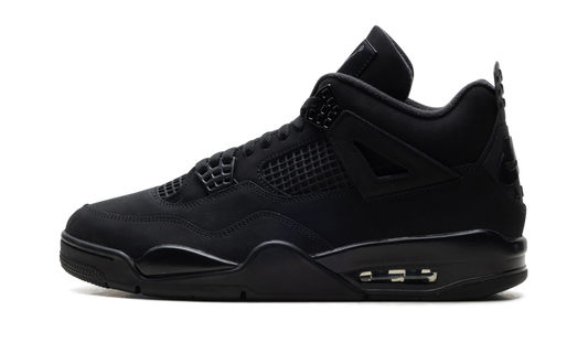 Air Jordan 4 "Black Cat 2025" FV5029 010